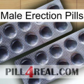 Male Erection Pills 31